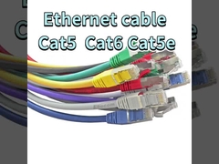 Especies de cable de Ethernet